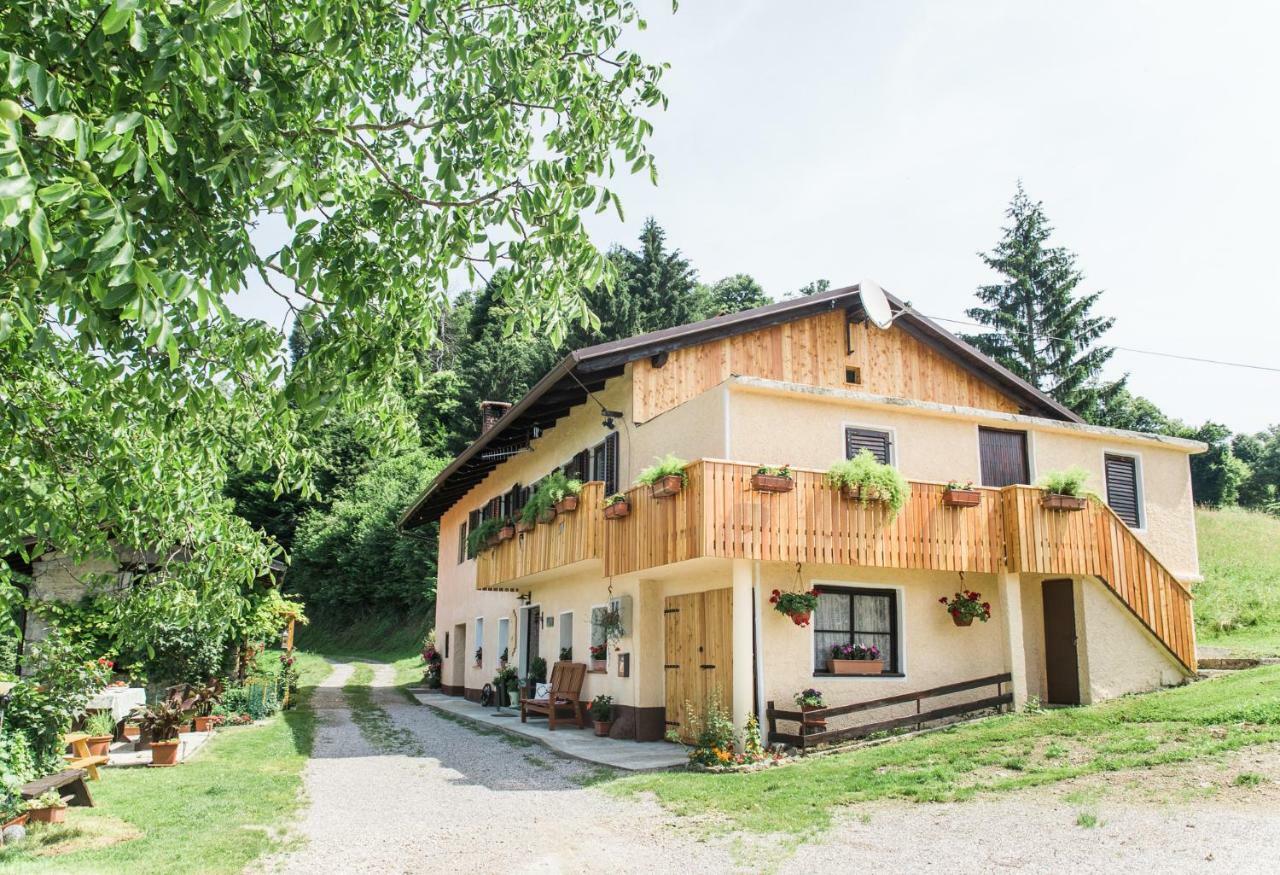 Pocitniska Hisa Pologar Guest House Толмин Екстериор снимка